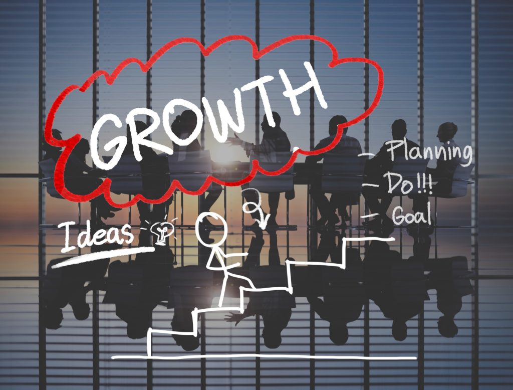 Business Growth Anaylises